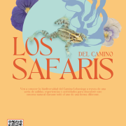 LOS SAFARIS DEL CAMINO