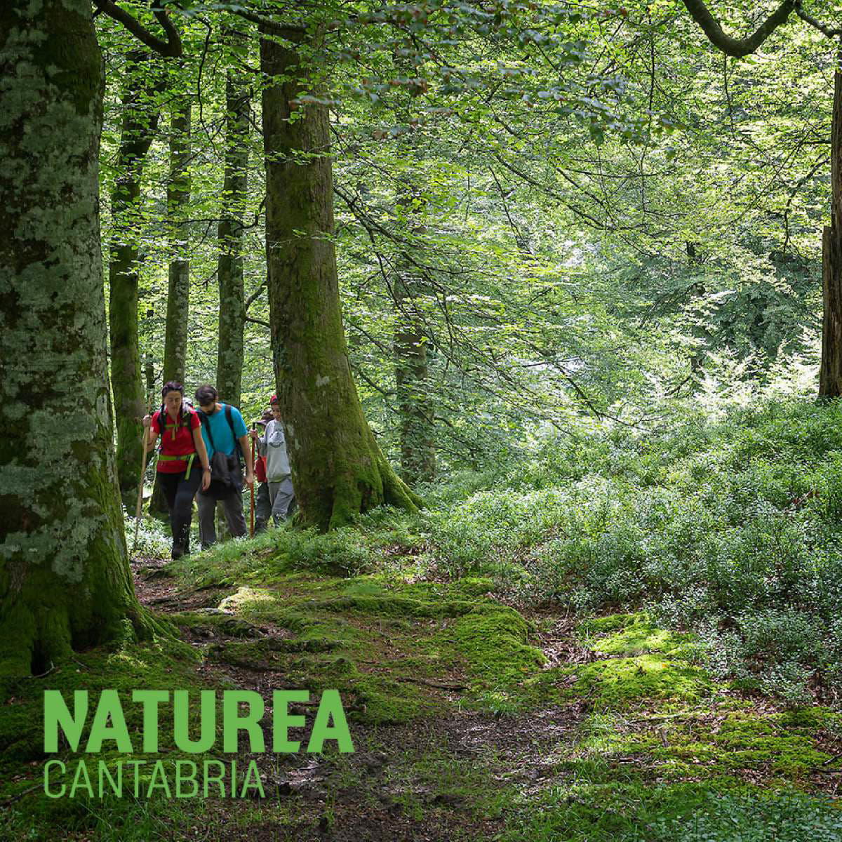 NATUREA CANTABRIA. ACTIVIDADES NOVIEMBRE 2024