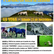 X CONCENTRACION COMARCAL DE GANADO BOVINO, EQUINO, OVINO Y CAPRINO EN VEGA DE LIEBANA